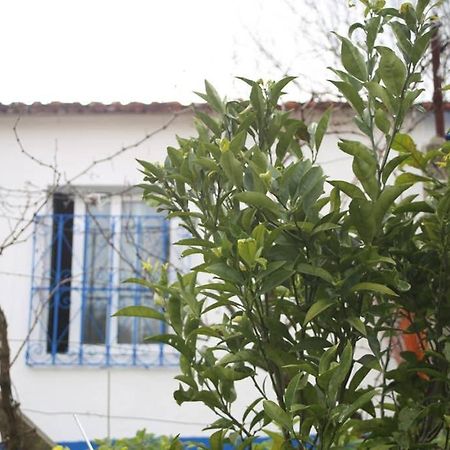 Sintra Nomad Lodge Екстер'єр фото