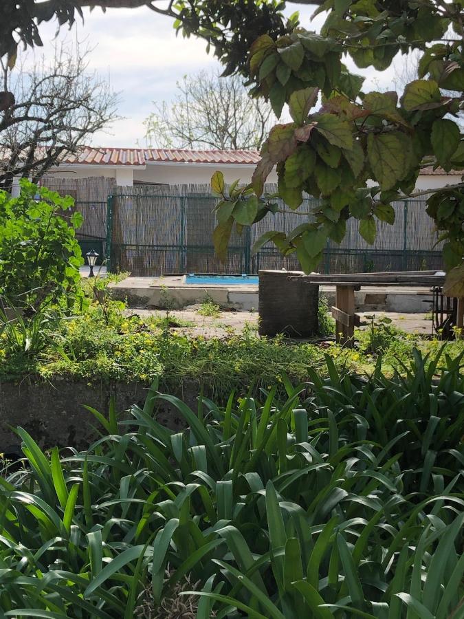 Sintra Nomad Lodge Екстер'єр фото
